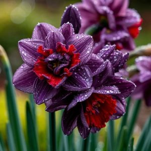 Нарцисс Минт Флер купить по цене от 2000р. в интернет-магазине «Посадика» с доставкой почтой в в Иркутске и по всей России – [изображение №1].