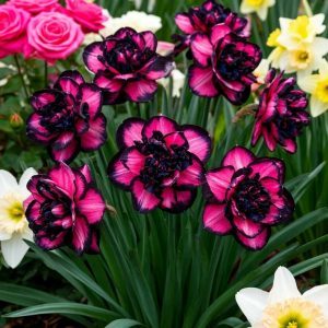 Нарцисс Золотая Корона купить по цене от 2000р. в интернет-магазине «Посадика» с доставкой почтой в в Иркутске и по всей России – [изображение №1].