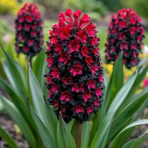 Гиацинт Джем Стоун купить по цене от 2099р. в интернет-магазине «Посадика» с доставкой почтой в в Иркутске и по всей России – [изображение №1].