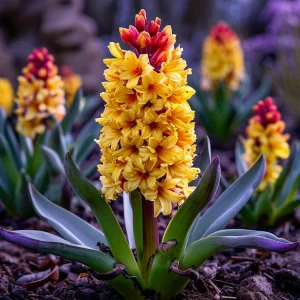 Гиацинт Миднайт Мистери купить по цене от 2099р. в интернет-магазине «Посадика» с доставкой почтой в в Иркутске и по всей России – [изображение №1].