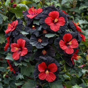 Гибискус Шиммеринг купить по цене от 720р. в интернет-магазине «Посадика» с доставкой почтой в в Иркутске и по всей России – [изображение №1].